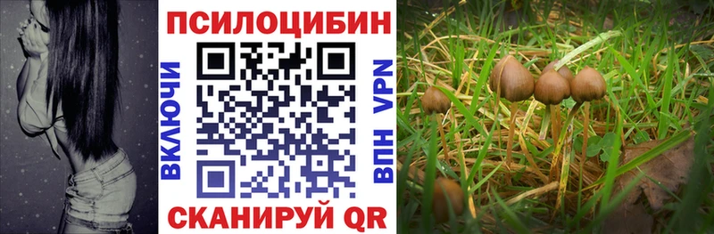 Галлюциногенные грибы Magic Shrooms  Нефтегорск 