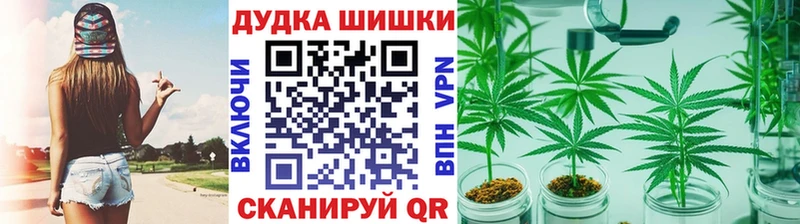 МАРИХУАНА ГИДРОПОН  Нефтегорск 